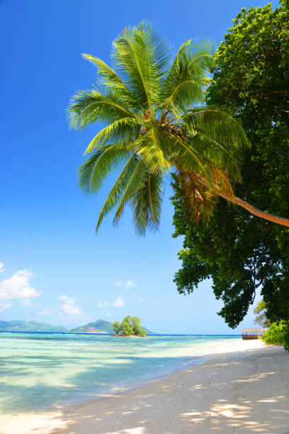 istock Anse Union beach in La Digue Island, Seychelles. 1327946803