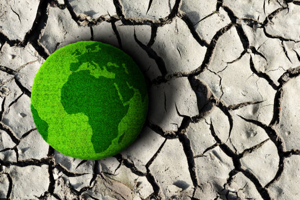 istock Green planet on the dry cracked soil. 1327947739