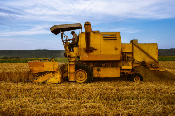 istock Farm occupation, during harvesting season 1327948059