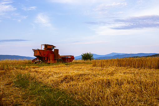 Red combine harvester on the agricultural field of wheat crops