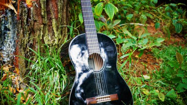 istock guitar in the park 1327949016