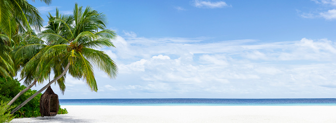 Landscape with beautiful tropical beach with white sand, turquoise ocean, blue sky on sunny day. Palm tree leaned over water. Background for summer vacation in Maldives or Seychelles Islands