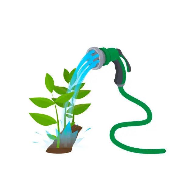 Vector illustration of Garden hose. Watering plants