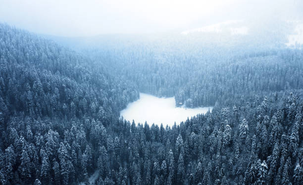 istock View from the drone on the frozen mountain lake. 1327953482