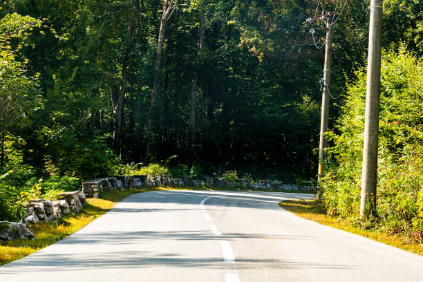 istock View through car windshield of  mountain road between the trees on sunny day. 1327954339