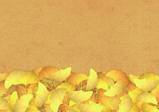 イチョウの葉とベージュの背景 - ginkgo tree illustrations点のイラスト素材／クリップアート素材／マンガ素材／アイコン素材