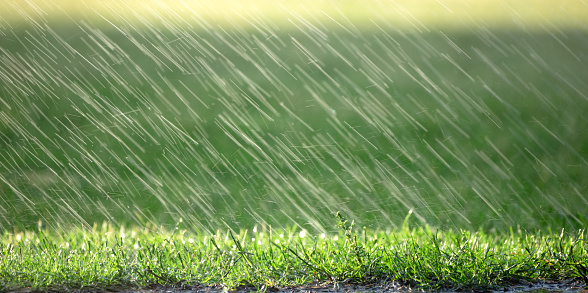Raindrops falling on green grass, natural background, weather forecast