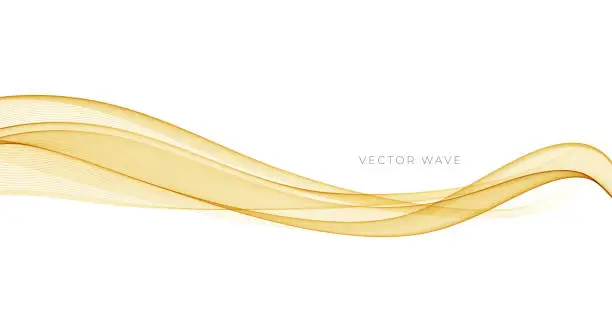 Vector illustration of Vector abstract colorful flowing gold wave lines isolated on white background. Design element for wedding invitation, greeting card