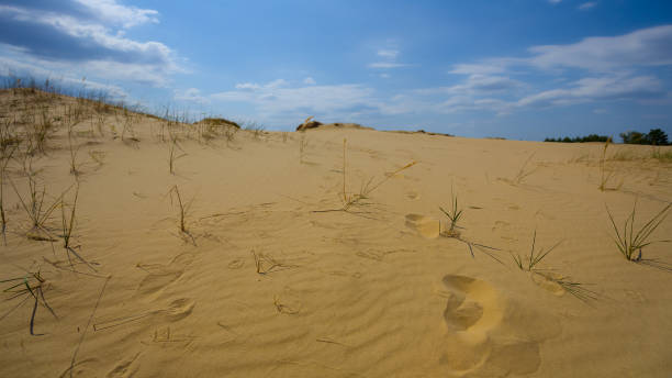 istock sandy desert dune under a cloudy sky, hot summer natural scene 1327958012