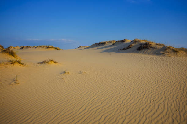 istock sandy desert dune under a cloudy sky, hot summer natural scene 1327958061