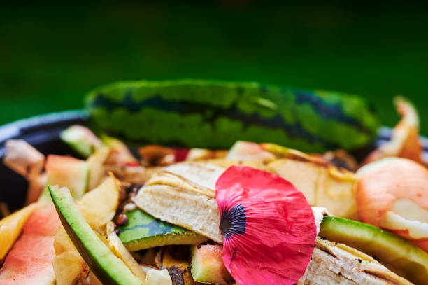 verschiedene organische abfälle für das recycling. - rotting banana vegetable fruit stock-fotos und bilder