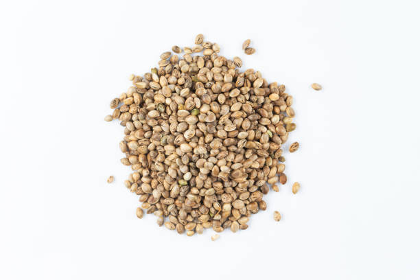 istock Heap of hemp seeds on a white background. 1327959769