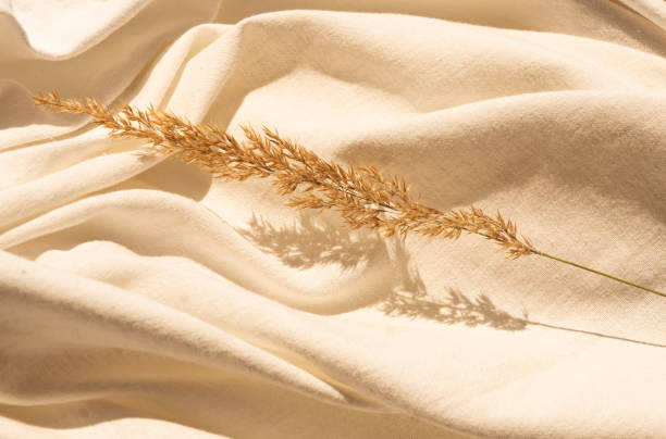 istock Natural dried reed flower with leaves on textured white linen textile material. Textile flat lay background with dried flower arrangement and copy space. Organic design. Pastel colors 1327966372