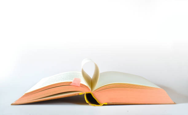 istock Stack of books,reading,literature,education,library,home office concept,  large copy space 1327966619