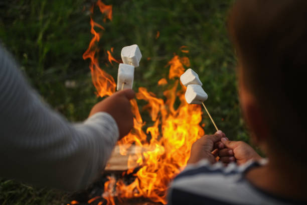 숲에서 캠프 파이어에서 마시멜로를 구우는 두 명의 어린이 손 - tent camping lifestyles break 뉴스 사진 이미지