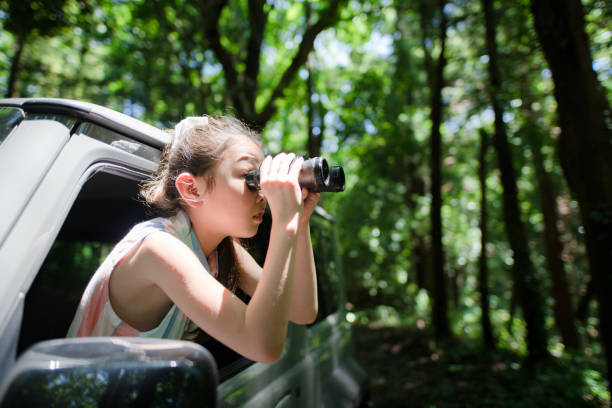 istock A child leaning out of a car window and using binoculars 1327970483
