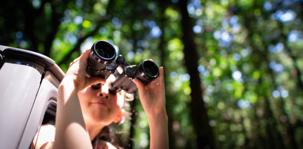 istock A child leaning out of a car window and using binoculars 1327970544