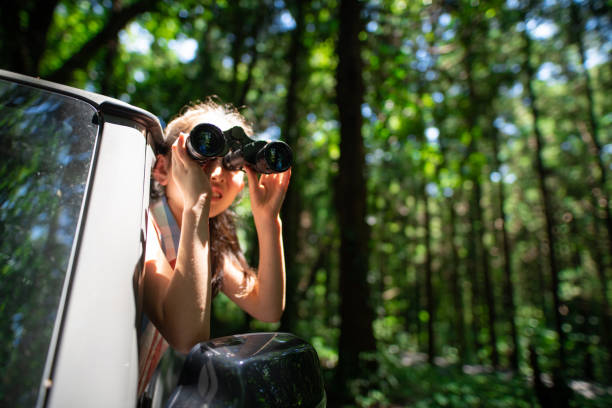 istock A child leaning out of a car window and using binoculars 1327970545