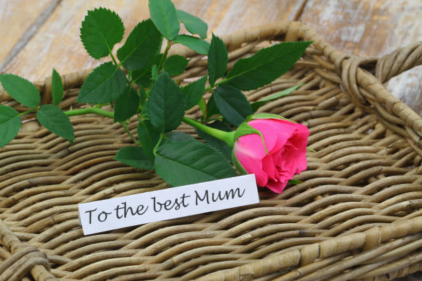 to the best mum, card with colorful roses for mothers day - note rose image saturated color imagens e fotografias de stock