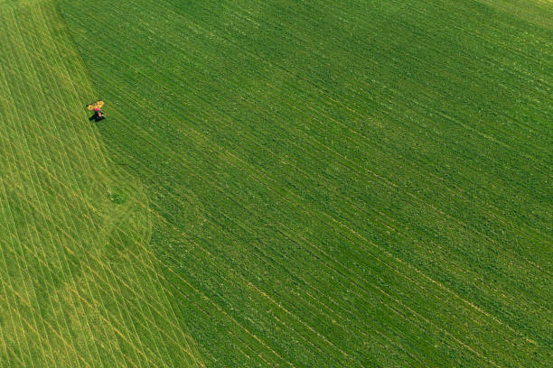 istock Tractor in a green field 1327974352