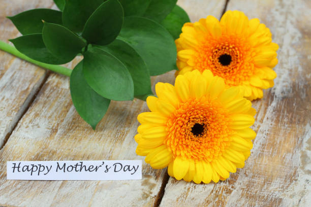 istock Happy Mothers day card with two yellow gerbera daisies on rustic wooden surface 1327975042