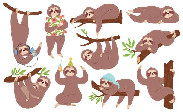 Cute sloth. Happy lazy sloths sleeping, hanging on branch, listening to music. Funny slothful animals in various poses Cartoon vector set Cute sloth. Happy lazy sloths sleeping, hanging on branch, listening to music. Funny slothful animals in various poses Cartoon vector set. Character with baby, player, cocktail and pillow sloth stock illustrations