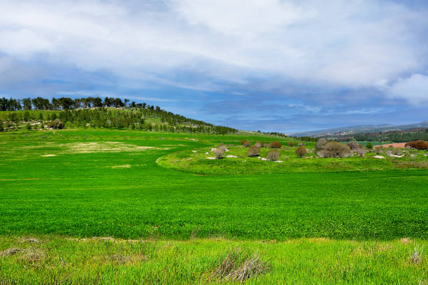 istock Beautiful Israeli landscape 1327985969