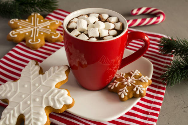 istock Hot chocolate with marshmallows in the red cup and Christmas cookies 1327994204