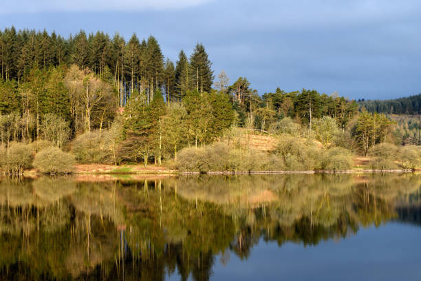 A view of the beautiful Pontsticill Reservoir located on the Taf Fechan in South Wales, UK.