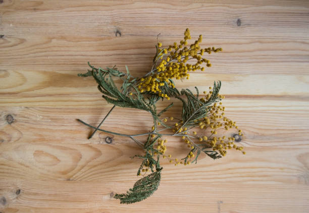 istock Flower on the background of a tree 1327996003