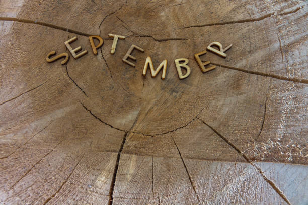 istock September in wooden wavy letter on an old tree trunk 1327997024