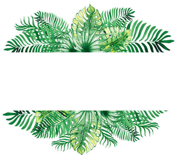 istock Watercolor gold frames made of tropical, palm leaves. Tropical decor . Postcard wedding design. green summer leaves. Monstera, palms ,leaves. 1327998505
