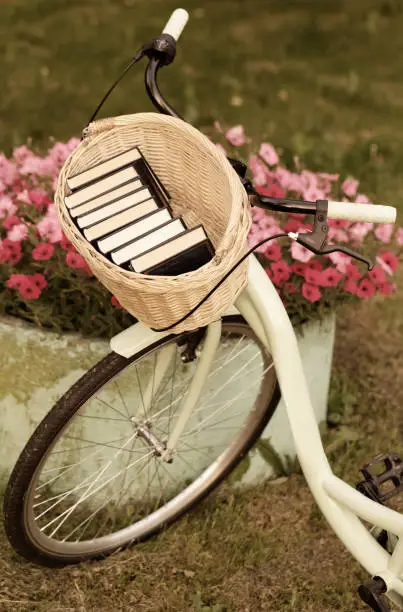 Books in basket of bicycle, bike in fields in summertime , educational retro concept