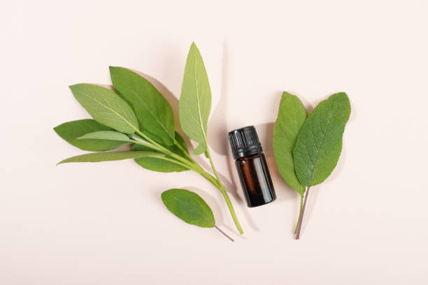 istock Cosmetic container and herbal sage leaves on light background. 1328004045