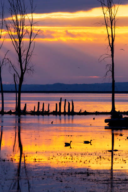 istock Stunning sunrise sky, reflected in tranquil waters. 1328004095