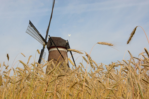 Rustic wooden windmills in Bruges public park, Belgium