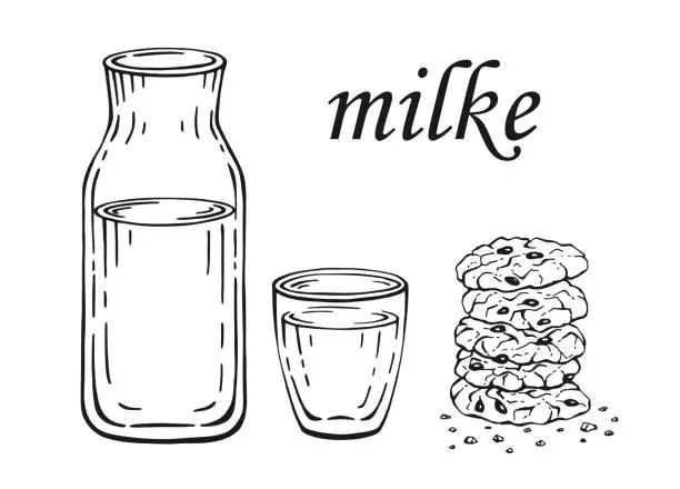 Vector illustration of Bottle and glass of milk or water and oatmeal cookies isolated on white background. Hand drawn black and white vector illustration.