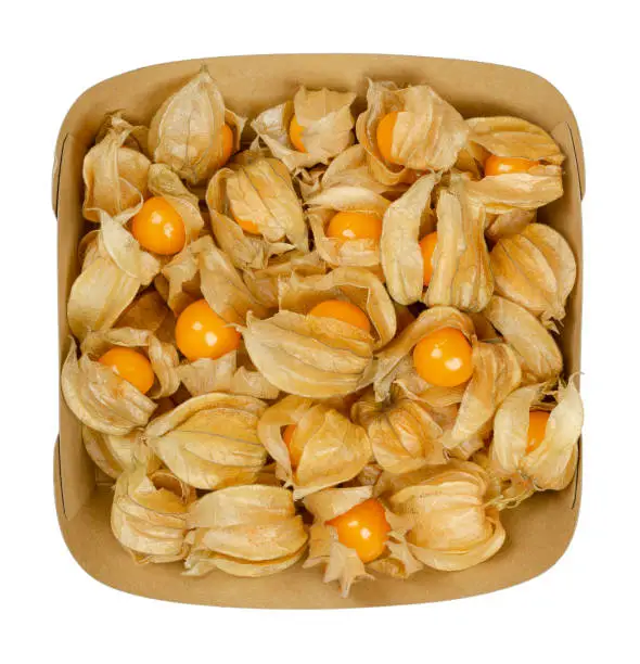 Fresh goldenberries in their husk, in a paper snacktray. Also ground cherry, Cape gooseberry, uchuva or poha, fruits of Physalis peruviana, used as garnish and dessert. Close-up from above food photo.