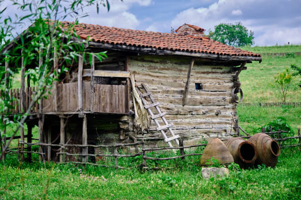 istock Old abandoned and brownfield village home with green grass 1328020258
