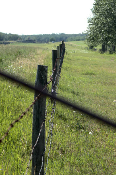 istock Color Farm Fence 1328027814