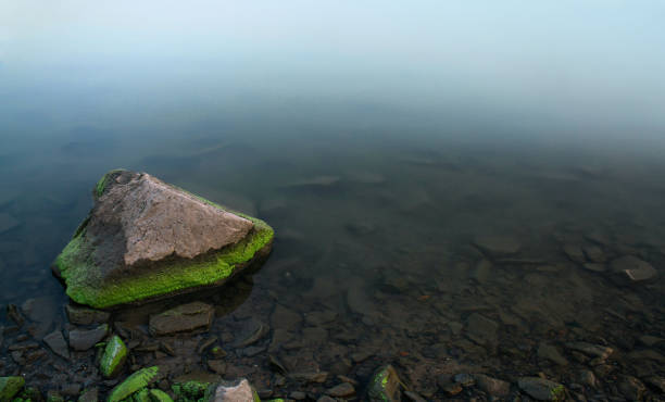 霧の中の貯水池の海岸近くの三角形の石。ベースに緑の藻類でうまく生い茂った。穏やかで清潔で澄んだ水。岩の海岸と貯水池の底。 - sea light water surface water form ストックフォトと画像