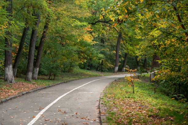 istock Asphalt path in a park with trees. Green foliage begins to turn yellow and fall off. Beginning of autumn. 1328027917