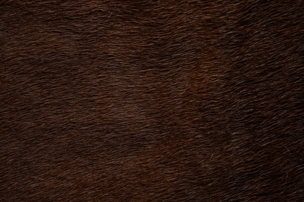 Background of red cow skin.