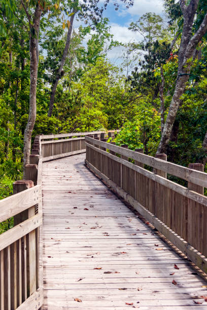 istock You will really enjoy the stroll around the boardwalks within the various parks in Celebration Florida 1328030198