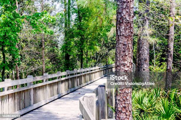 You Will Really Enjoy The Stroll Around The Boardwalks Within The Various Parks In Celebration Florida Stock Photo - Download Image Now