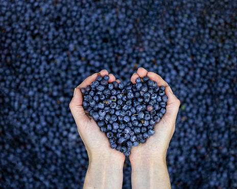 Heart shaped berries over a whole box of blueberries.