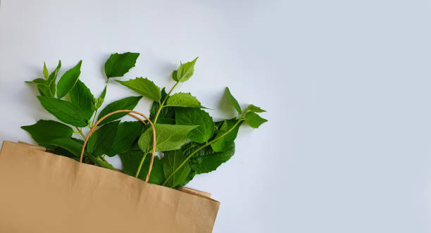 istock paper bag, leaves on colored background 1328035860