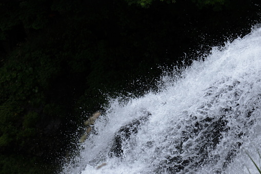 Water body of a fountain in a very short exposure time