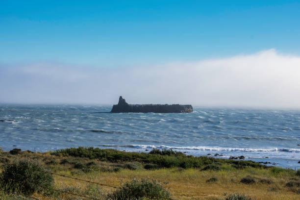 lost coast, norte de california. - humboldt county california coastline island fotografías e imágenes de stock