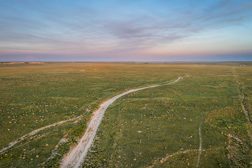 dirt road, cattle trails and buried pipeline in green prairie, Pawnee National Grassland in Colorado, aerial view
